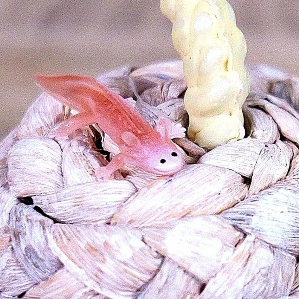 Bundle Deal - Axolotl Miniature Figure - Hand Painted‎ Collectible Mini Figurine